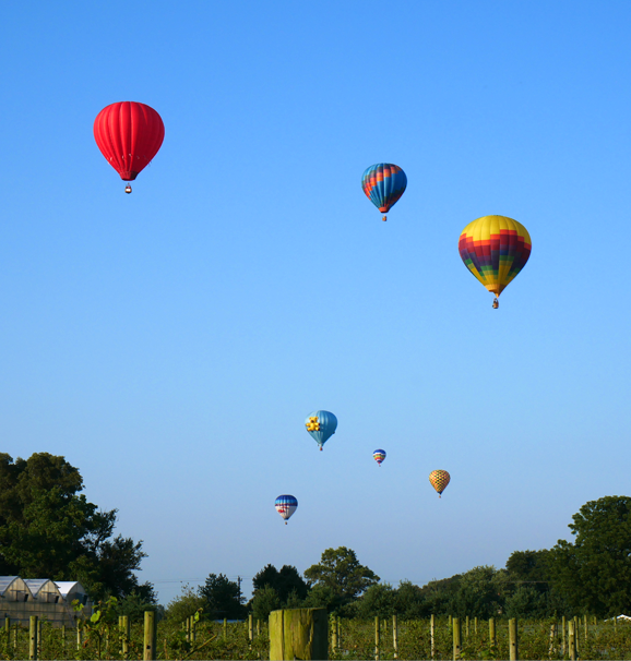 Scheduled balloon rides are first come first serve at the Chesapeake Bay Balloon Festival.
