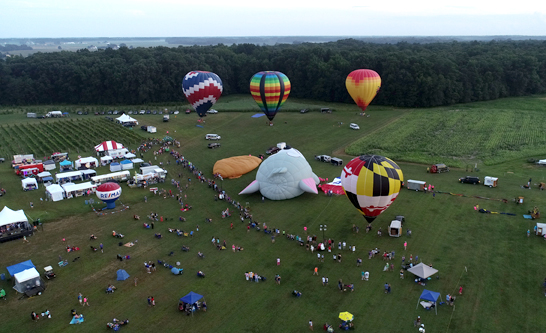 Tethered balloon rides at the Chesapeake Bay Balloon Festival.